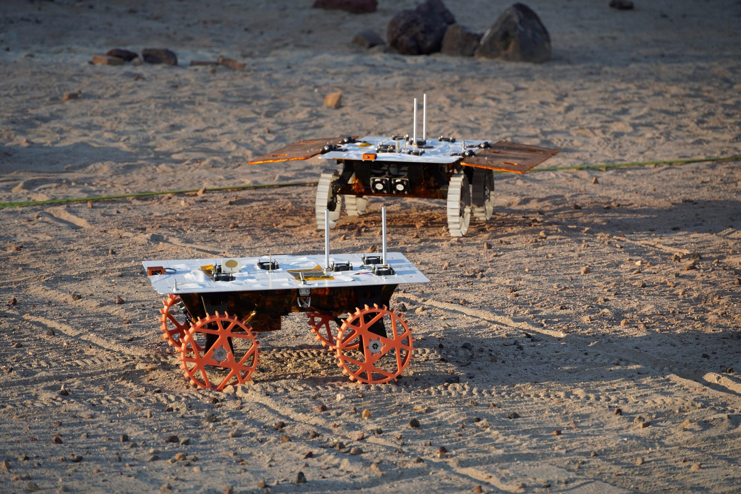 SciTechDaily