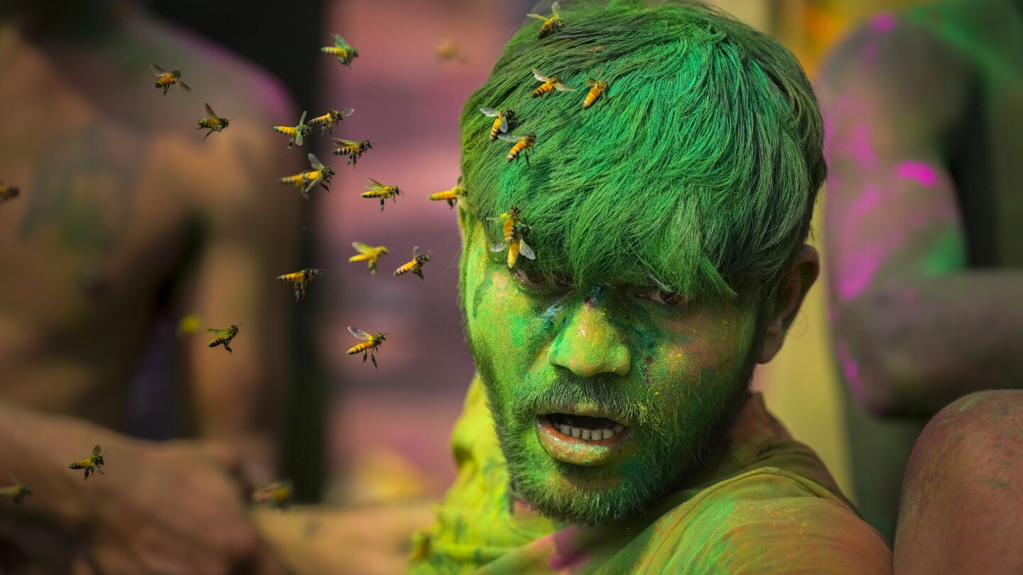 Satu Foto Luar Biasa: Menangkap detail selama Holi