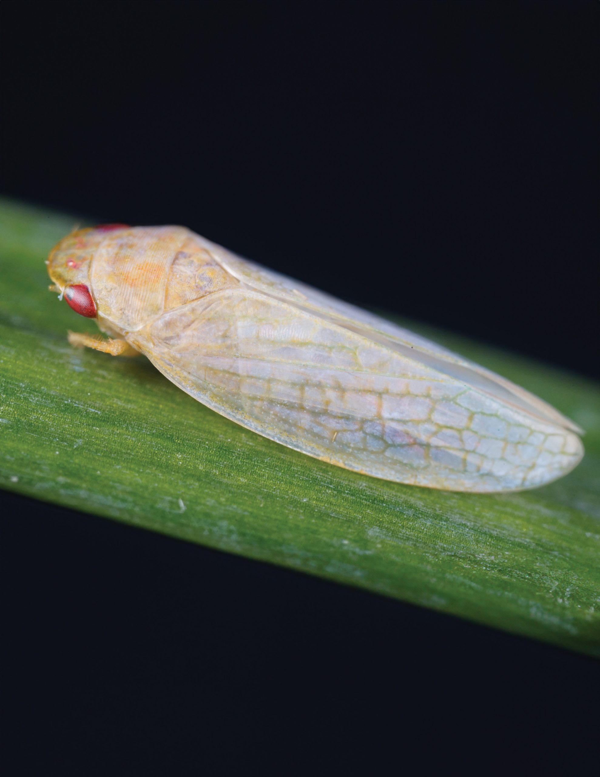 SciTechDaily