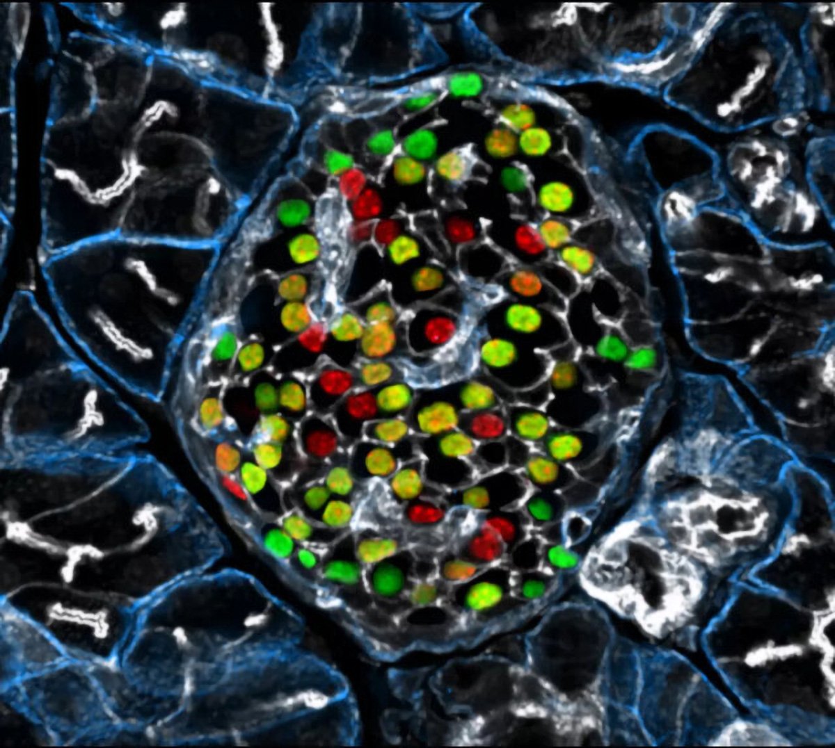 SciTechDaily