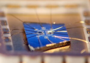 SciTechDaily