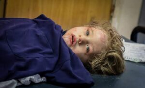 GMO menyerukan untuk menekan Israel agar menghentikan “perang genosida” di Gaza