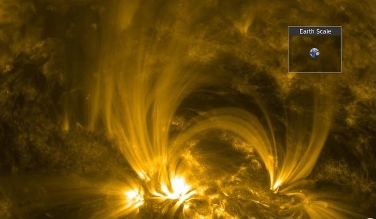 SciTechDaily