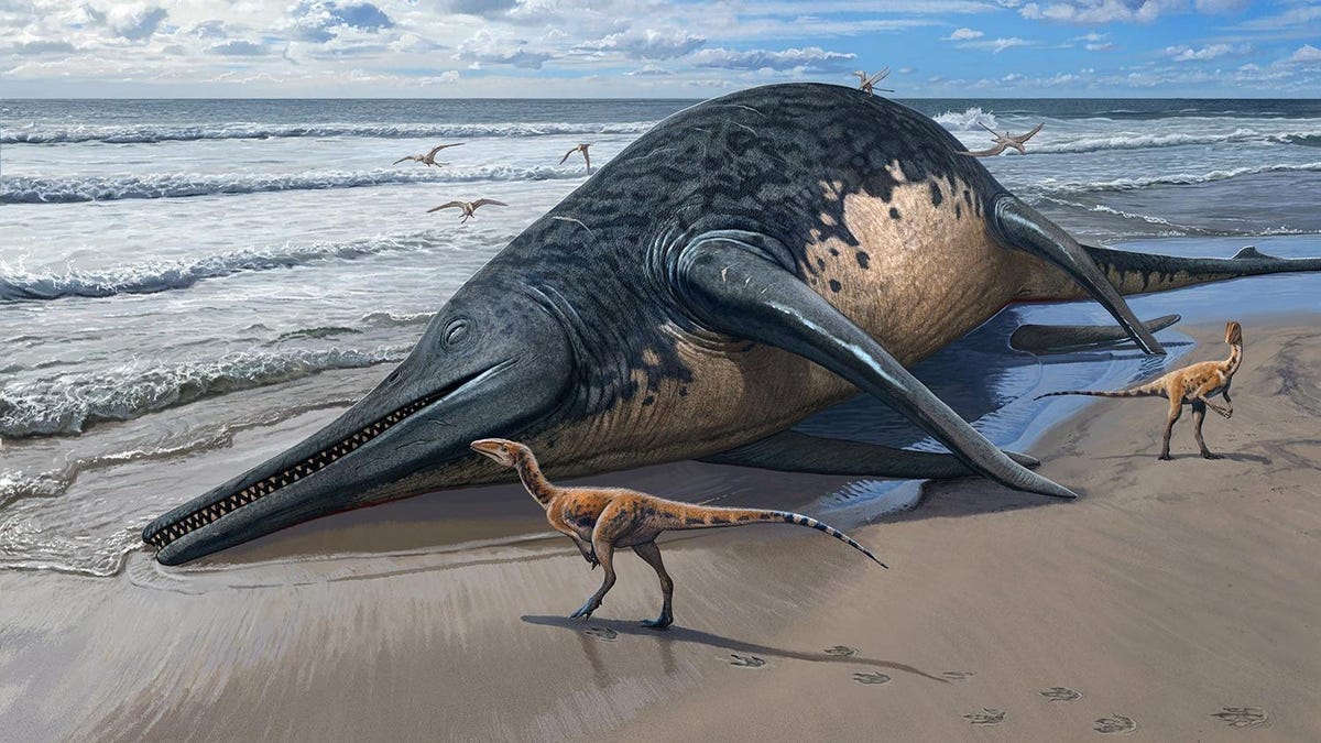 Tulang Rahang di Inggris Tampaknya Milik Reptil Laut Terbesar yang Pernah Dikenal
