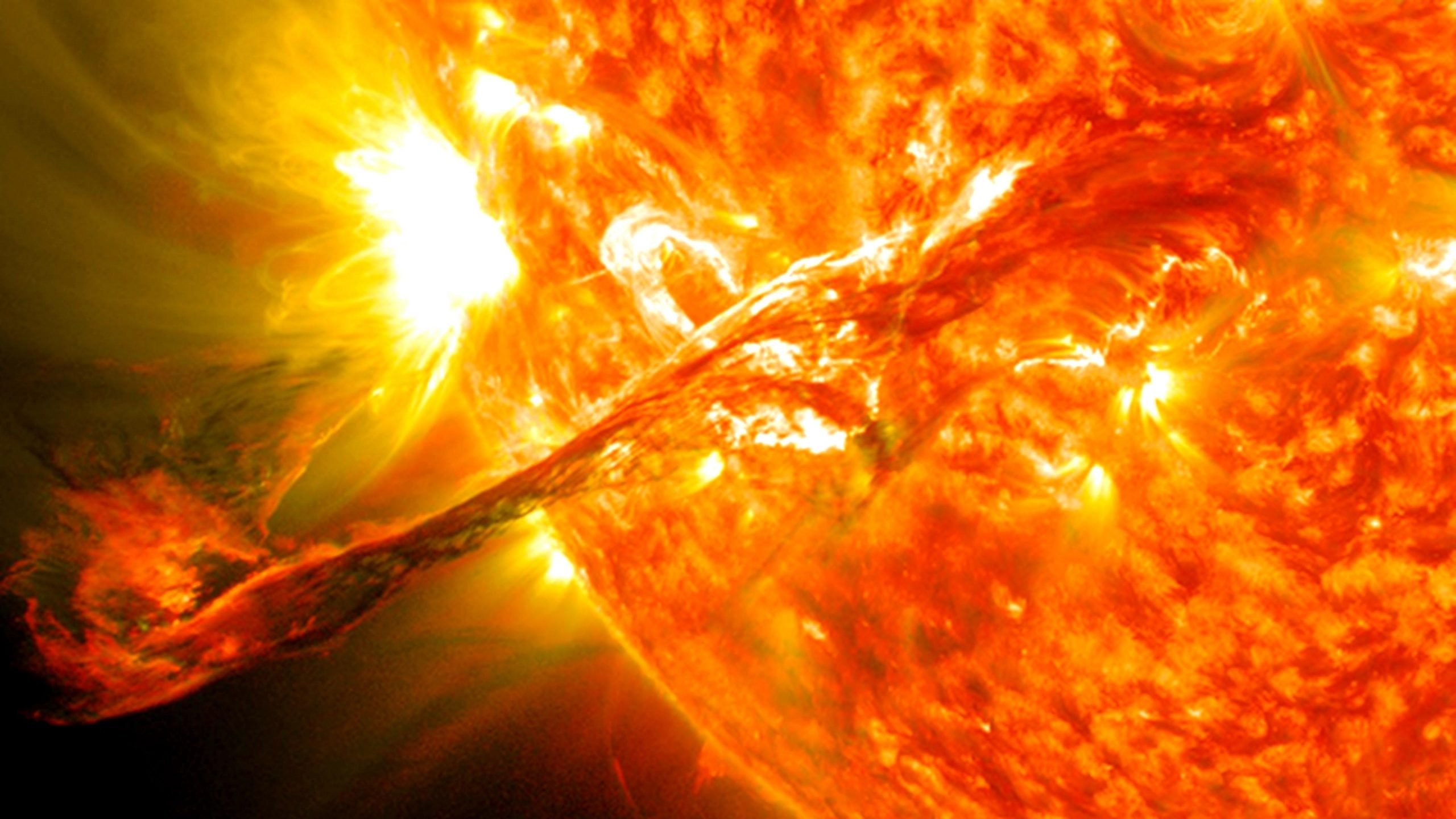 SciTechDaily