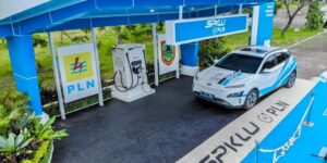 PLN EV BN 300x150