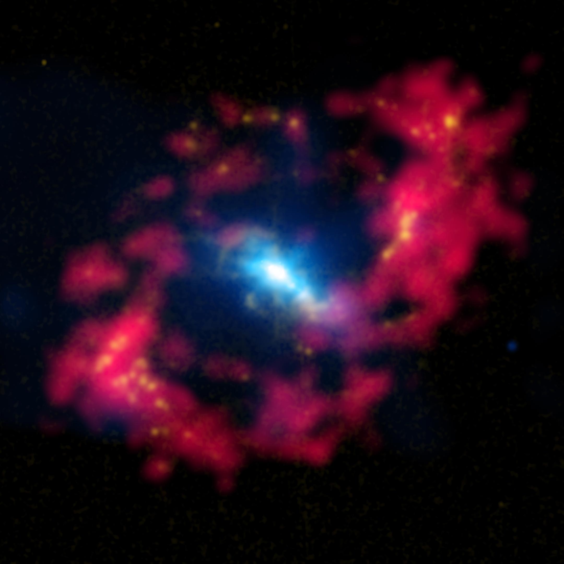 SciTechDaily