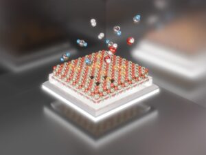SciTechDaily