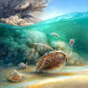 Pemakaman Mirip Pompeii Melestarikan Trilobita dalam Detail 3D yang Menakjubkan SciTechDaily
