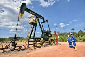 WhatsApp Image 2024 07 17 At 14.19.26 9c9f0bd0 300x200