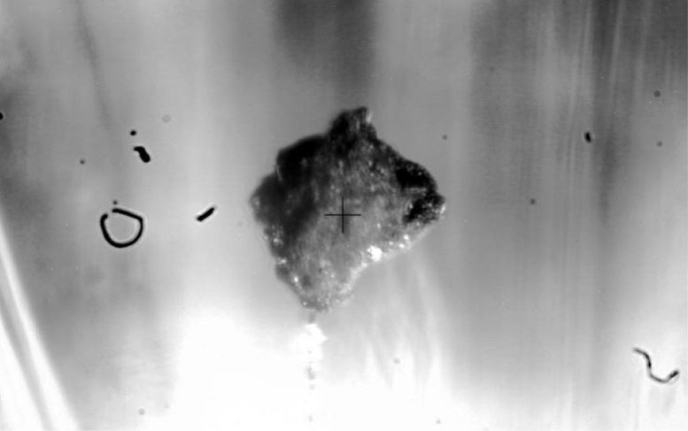 Pecahan Asteroid 162173 Ryugu