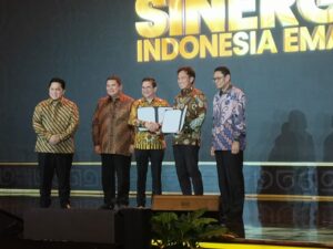 IMG 20241108 WA0002 300x225