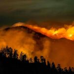 Airbnb is offering temporary housing to Los Angeles residents displayed by wildfires.