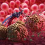Konsep Virus Nyamuk Zika Malaria