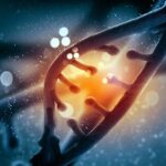 Konsep Terobosan Genetika DNA