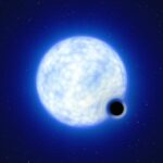 Silent Giants: Bagaimana Bintang Menjadi Lubang Hitam Tanpa Meledak Sistem Biner VFTS 243 di Nebula Tarantula