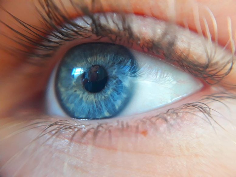 Mata biru tampak dekat