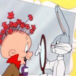 Looney Tunes Wb Animation