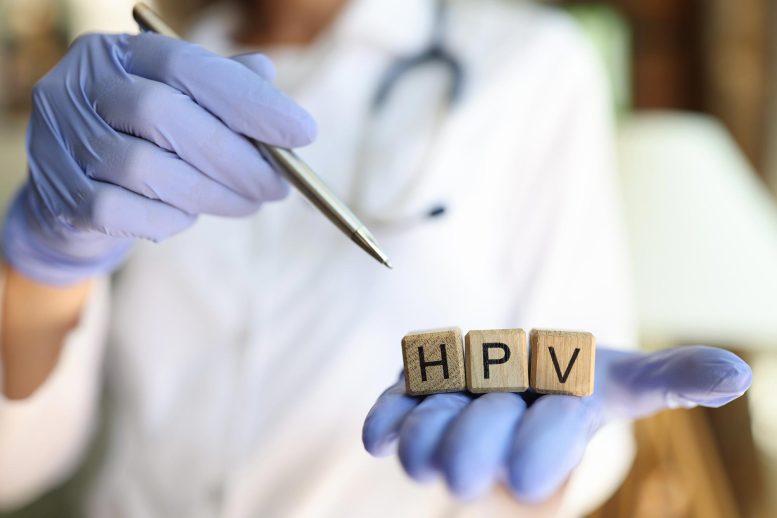 Dokter HPV Human Papillomavirus