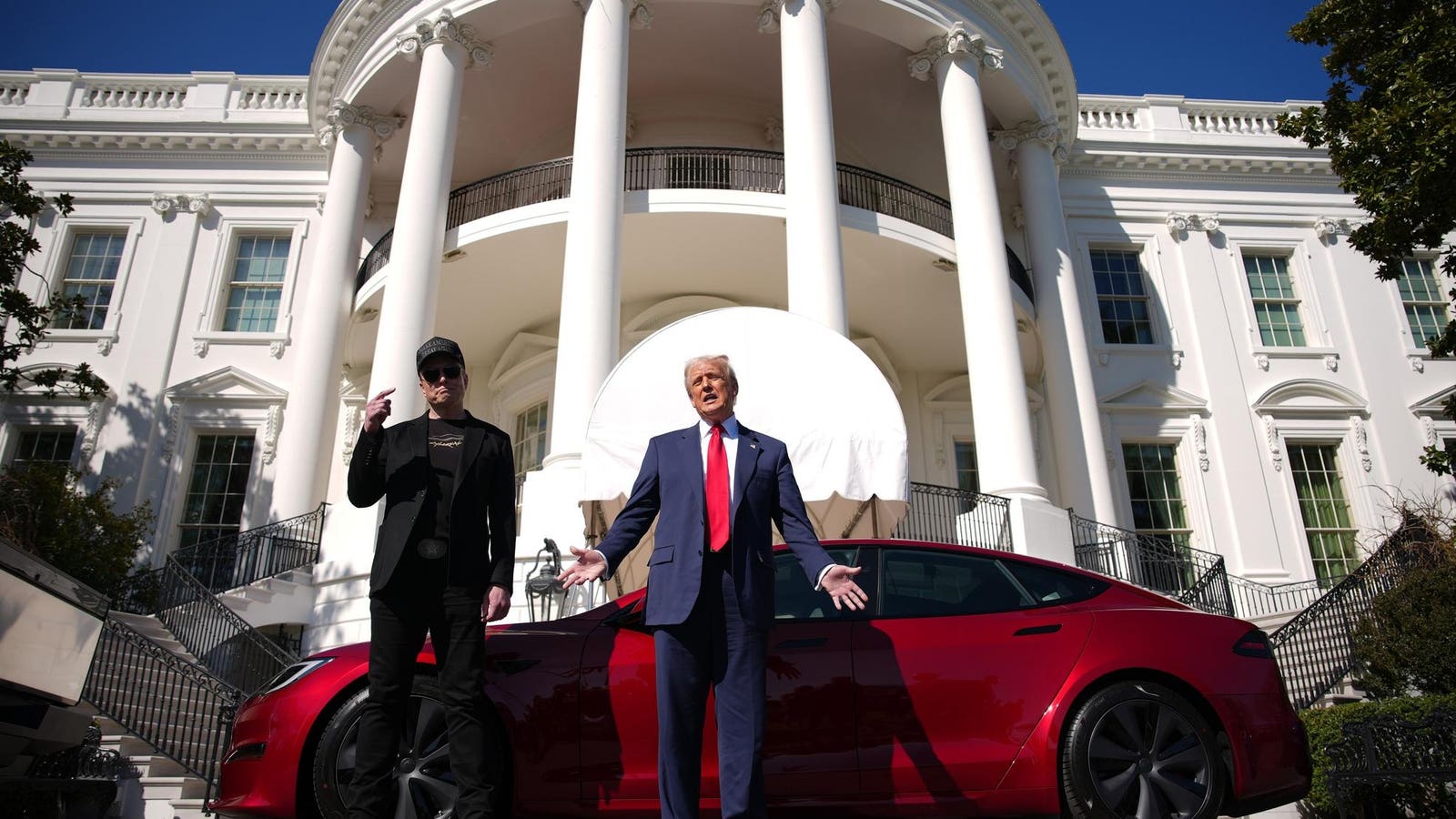 Dukungan Elon Musk terhadap Trump telah benar -benar merusak merek Tesla di antara pelanggan inti