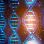 Konsep Fungsi DNA