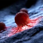 Ilustrasi sel kanker manusia