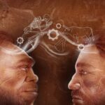 Ilustrasi yang mewakili Homo sapiens dan teknologi dan perilaku berbagi Neanderthal