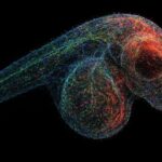 Mikroskop DNA menciptakan peta kehidupan 3D