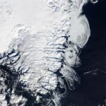Greenland Sea Ice Februari 2025