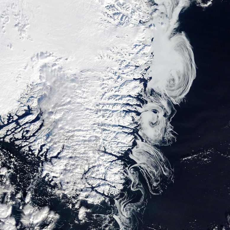 Greenland Sea Ice Februari 2025