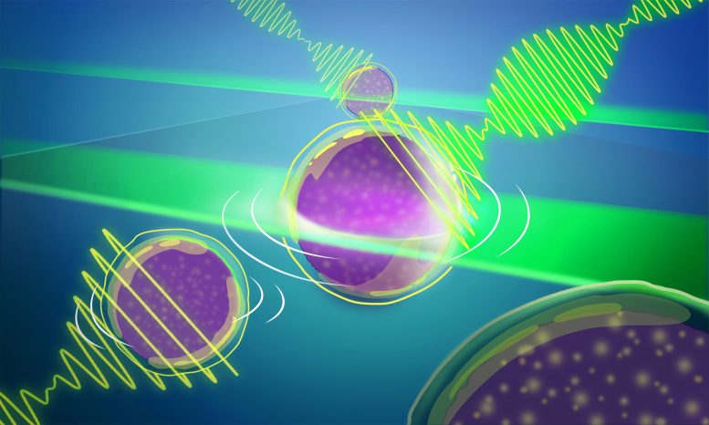 Pendekatan mikroskop Brillouin baru