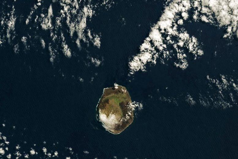 Pulau Amsterdam Februari 2025