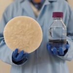 Sorbent dibuat menggunakan biomassa yang dapat menarik air yang bisa diminum dari udara tipis