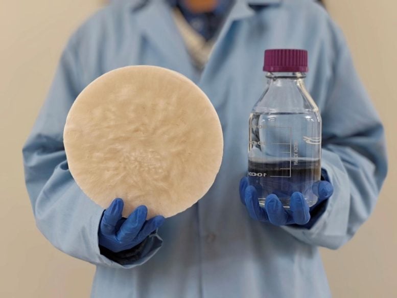 Sorbent dibuat menggunakan biomassa yang dapat menarik air yang bisa diminum dari udara tipis