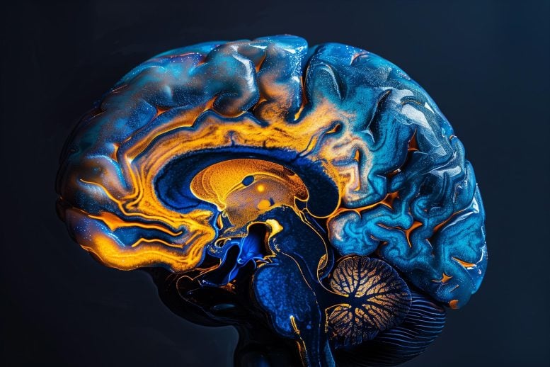 Neuroscience Kesehatan Mental Konsep Seni Depresi Otak