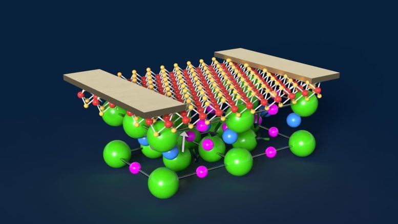 Menggabungkan Disulfida Molibdenum Ultra Tipis dengan Nanomembran Stronsium Titanat Fleksibel