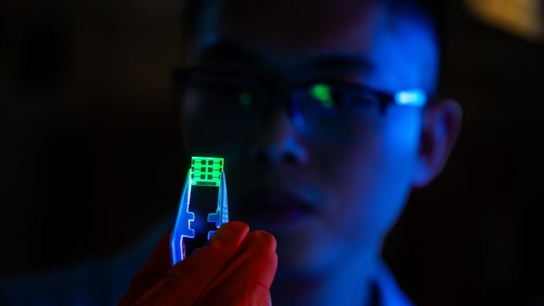 Muyi zhang memegang perovskite led