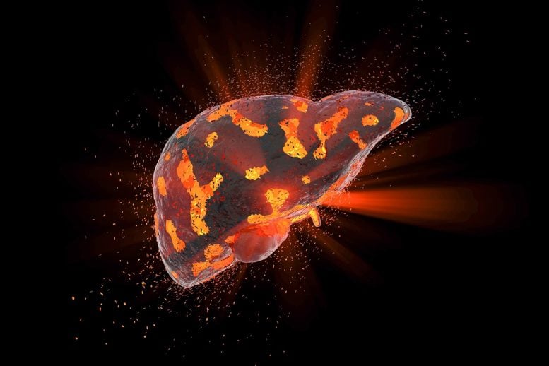 Ilustrasi konsep penyakit hati