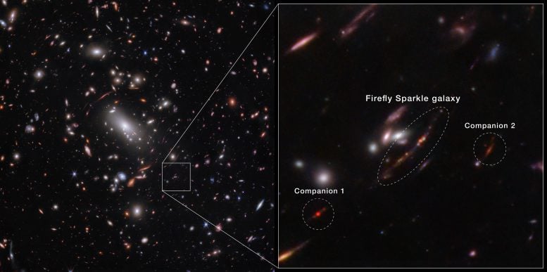 Firefly Sparkle Galaxy and Companions in Galaxy Cluster MacS J1423 (Webb Nircam Image)