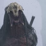 Prey Predator
