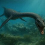 Konsep Seni Plesiosaurus