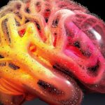 Konsep Seni Organoid Otak Neuroscience