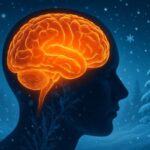 Konsep Seni Memori Dingin