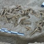 Situs Penggalian Sofular di Anatolia Tengah, Türkiye