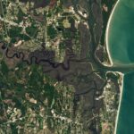 Saint Marys River Mangrove