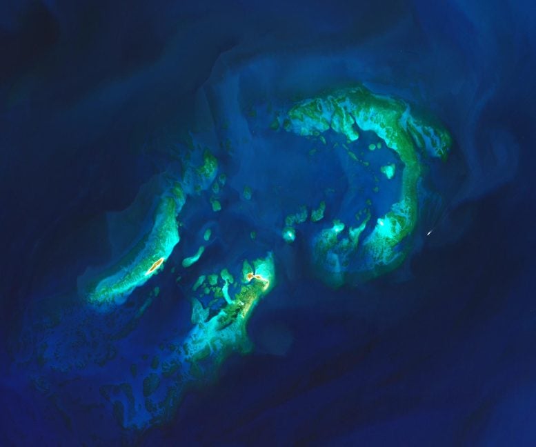 Taman Nasional Tortugas Kering