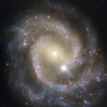 Spiral Galaxy NGC 3507