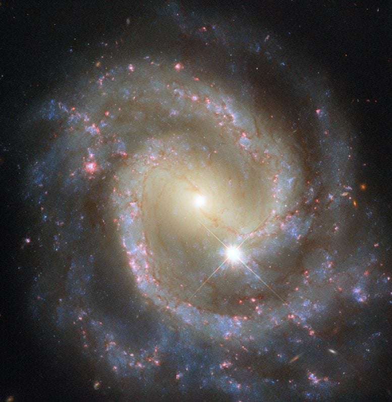Spiral Galaxy NGC 3507