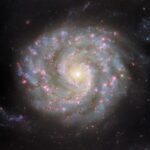Spiral Galaxy NGC 3596