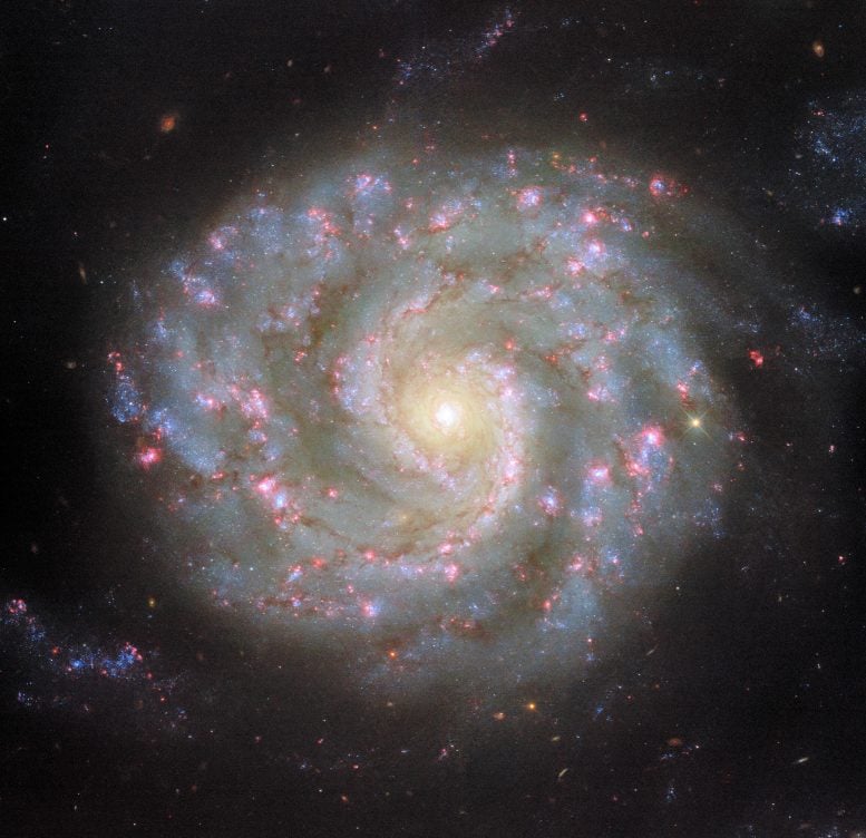 Spiral Galaxy NGC 3596